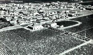 RIO SALADO - CULTURE DE LA VIGNE